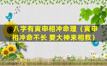 八字有寅申相冲命理（寅申相冲命不长 要大神来相救）